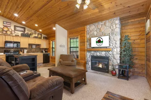 Living - 141 Rock Candy Ln, Branson, MO 65616 photo 4 of 5