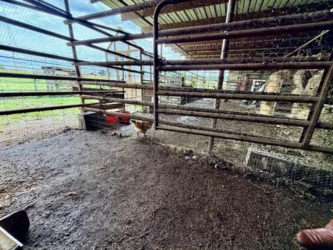 Other - 121 S Marshfield Rd, Bruner, MO 65620 photo 34 of 41