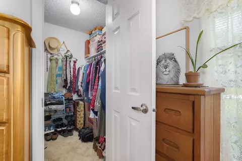 Other - 121 S Marshfield Rd, Bruner, MO 65620 photo 4 of 41