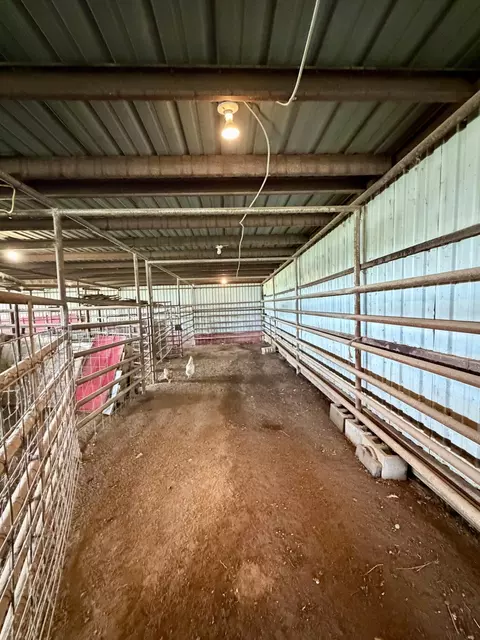 Other - 121 S Marshfield Rd, Bruner, MO 65620 photo 19 of 41