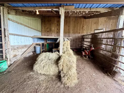 Exterior - 121 S Marshfield Rd, Bruner, MO 65620 photo 8 of 16
