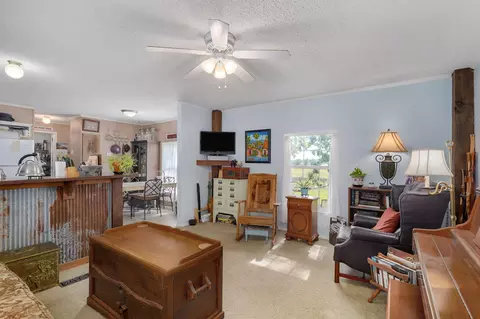Living - 121 S Marshfield Rd, Bruner, MO 65620 photo 1 of 1