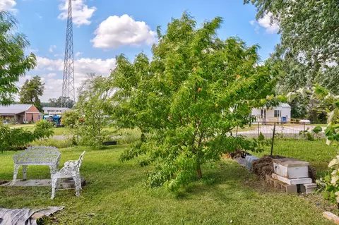 Exterior - 121 S Marshfield Rd, Bruner, MO 65620 photo 15 of 16
