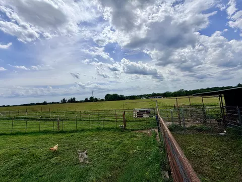 Exterior - 121 S Marshfield Rd, Bruner, MO 65620 photo 7 of 16