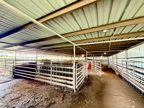 Other - 121 S Marshfield Rd, Bruner, MO 65620 photo 15 of 41