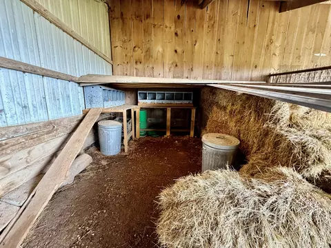 Other - 121 S Marshfield Rd, Bruner, MO 65620 photo 33 of 41