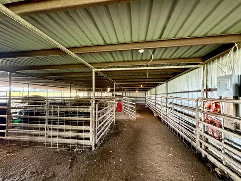 Other - 121 S Marshfield Rd, Bruner, MO 65620 photo 14 of 41