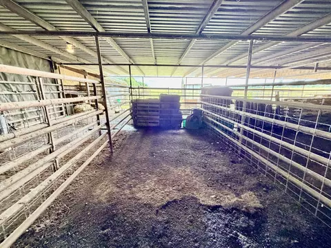 Other - 121 S Marshfield Rd, Bruner, MO 65620 photo 20 of 41