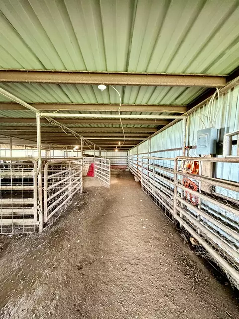 Other - 121 S Marshfield Rd, Bruner, MO 65620 photo 13 of 41