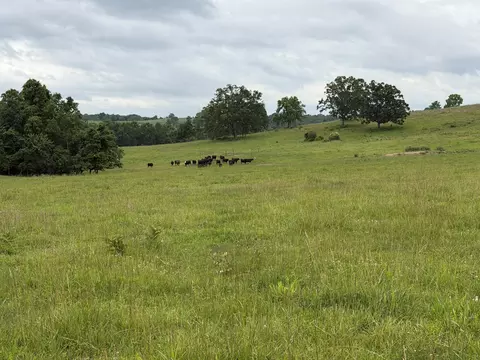 Other - 000 N Hwy, Squires, MO 65755 photo 25 of 37