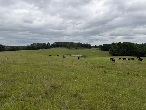 Other - 000 N Hwy, Squires, MO 65755 photo 23 of 37
