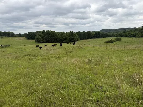 Other - 000 N Hwy, Squires, MO 65755 photo 21 of 37