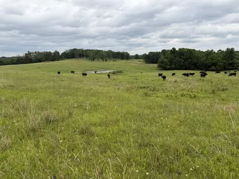 Other - 000 N Hwy, Squires, MO 65755 photo 37 of 37