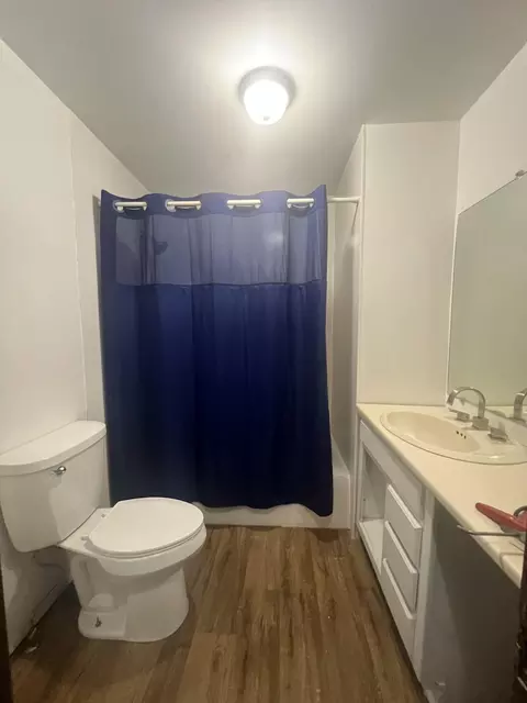 Bath - 424 Mammoth St, Thayer, MO 65791 photo 1 of 1