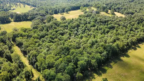 Other - 4471 County Road 323, Thayer, MO 65791 photo 15 of 17
