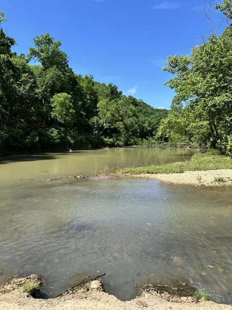 View/Area - 4471 County Road 323, Thayer, MO 65791 photo 3 of 7