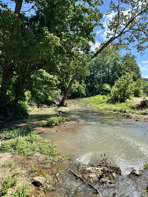 View/Area - 4471 County Road 323, Thayer, MO 65791 photo 1 of 7