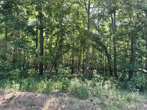 Other - 4471 County Road 323, Thayer, MO 65791 photo 12 of 17