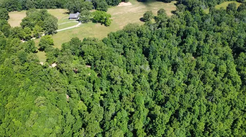 View/Area - 4471 County Road 323, Thayer, MO 65791 photo 7 of 7