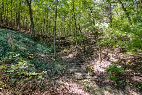 Exterior - 211 River Bend Rd, Branson, MO 65616 photo 7 of 8