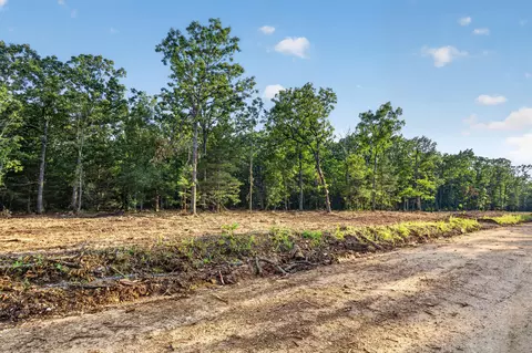 004 Cantrell Rd, Mansfield, MO 65704