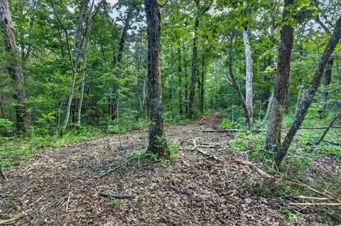003 Cantrell Rd, Mansfield, MO 65704 photo 8
