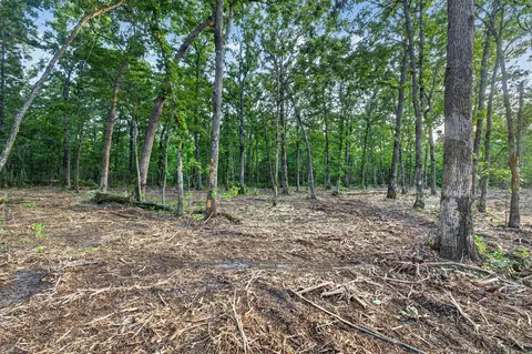 003 Cantrell Rd, Mansfield, MO 65704 photo 7