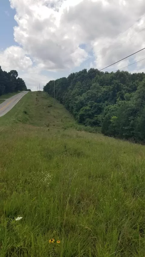 000 Missouri 142, Thayer, MO 65791 photo 4