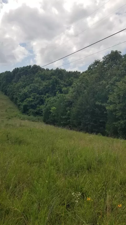 000 Missouri 142, Thayer, MO 65791 photo 3