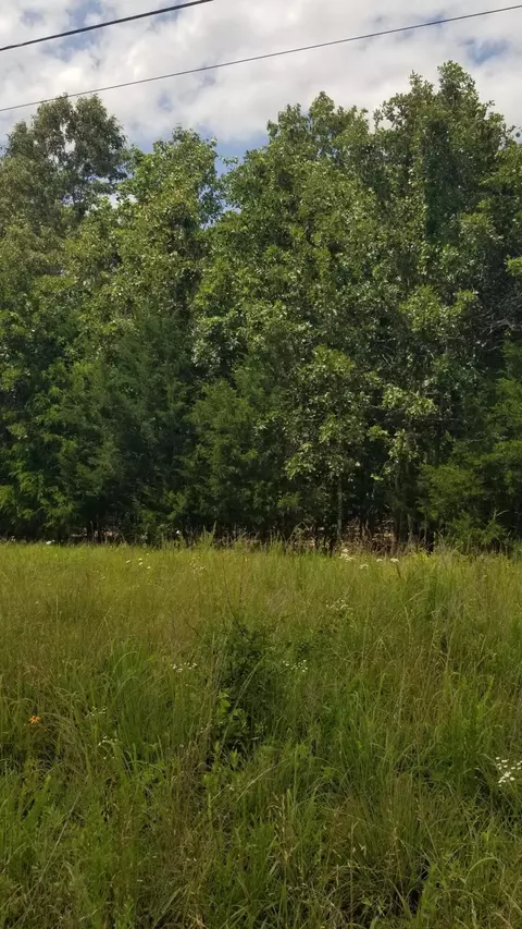 000 Missouri 142, Thayer, MO 65791 photo 2