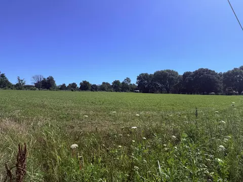 tbd Missouri 245, Dadeville, MO 65635