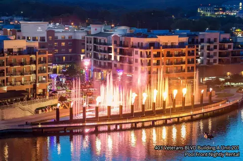 Other - 403 Veterans Blvd #201, Branson, MO 65616 photo 8 of 12