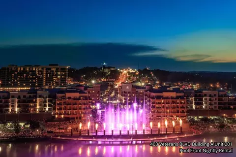 Other - 403 Veterans Blvd #201, Branson, MO 65616 photo 6 of 12