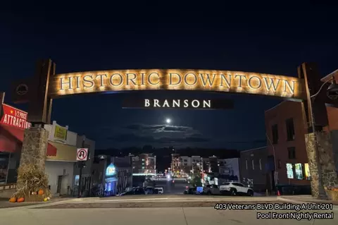 Other - 403 Veterans Blvd #201, Branson, MO 65616 photo 7 of 12