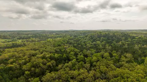4 Little Woods Rd, Elizabeth, AR 72531