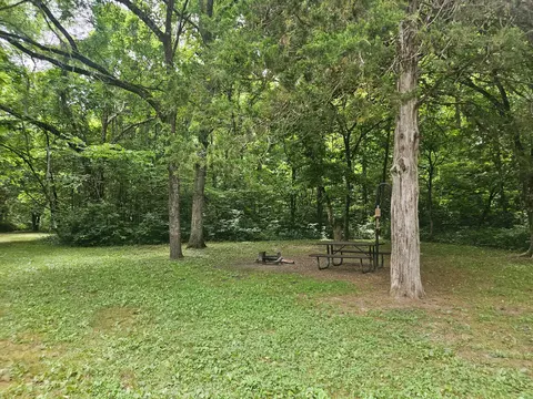 10504 County Road 471, Birch Tree, MO 65438 photo 23