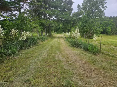 10504 County Road 471, Birch Tree, MO 65438 photo 17