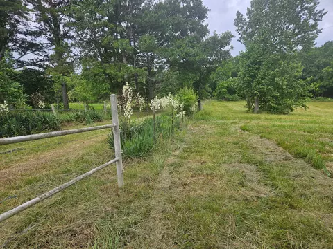 10504 County Road 471, Birch Tree, MO 65438 photo 16