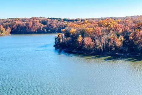 View/Area - 26429 Kings River Rd, Shell Knob, MO 65747 photo 8 of 13