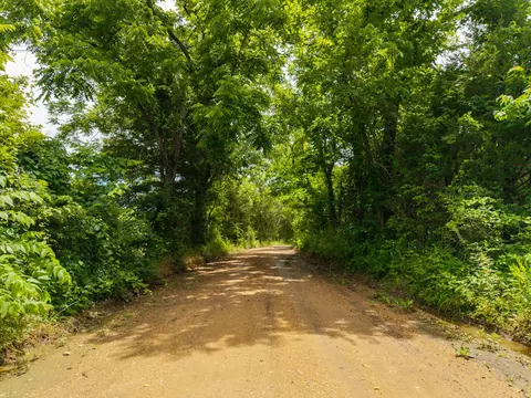 0000 Persimmon Rd, Grovespring, MO 65662 photo 29