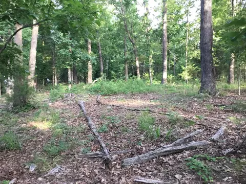 0000 Persimmon Rd, Grovespring, MO 65662 photo 34