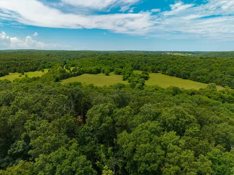 0000 Persimmon Rd, Grovespring, MO 65662 photo 28