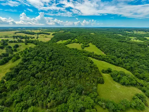 0000 Persimmon Rd, Grovespring, MO 65662 photo 11