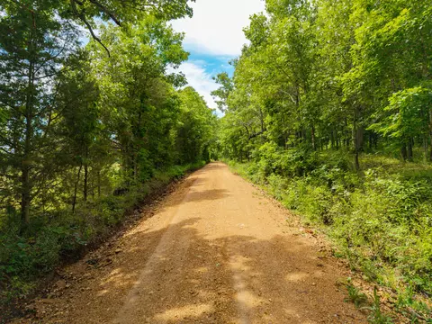 0000 Persimmon Rd, Grovespring, MO 65662 photo 26