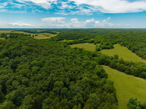 0000 Persimmon Rd, Grovespring, MO 65662 photo 27