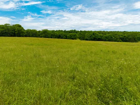 0000 Persimmon Rd, Grovespring, MO 65662 photo 17