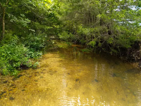 0000 Persimmon Rd, Grovespring, MO 65662 photo 22
