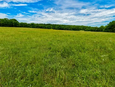 0000 Persimmon Rd, Grovespring, MO 65662 photo 19