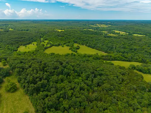0000 Persimmon Rd, Grovespring, MO 65662 photo 9