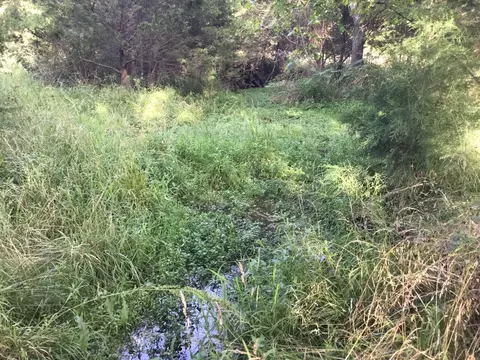 0000 Persimmon Rd, Grovespring, MO 65662 photo 30